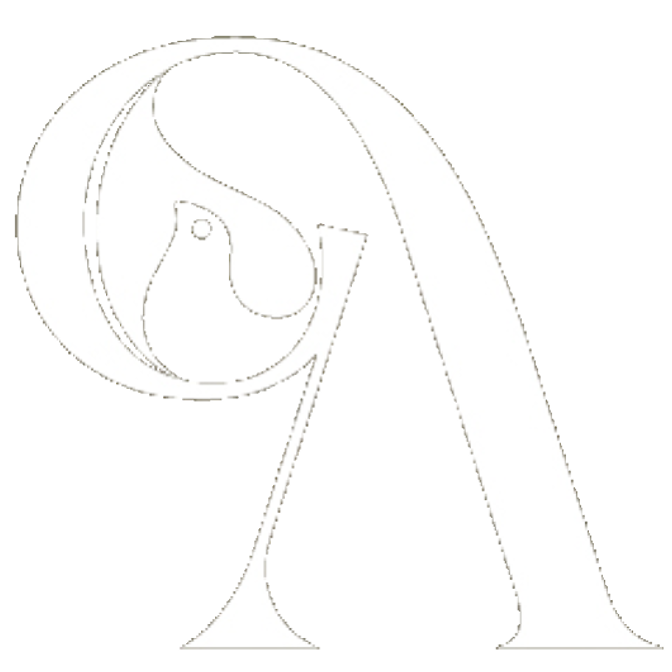 anchorpointaviaramaladwest.in favicon